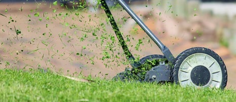 what is best for your lawn mower clippings?